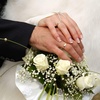 VQYSKO Tungsten Carbide Wedding Cigar Domed Band Ring Men Women 5-14(Gold-3mm)