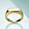 VQYSKO Signet Ring for Men & Women 316L Stainless Steel Statement Band Ring(Gold)